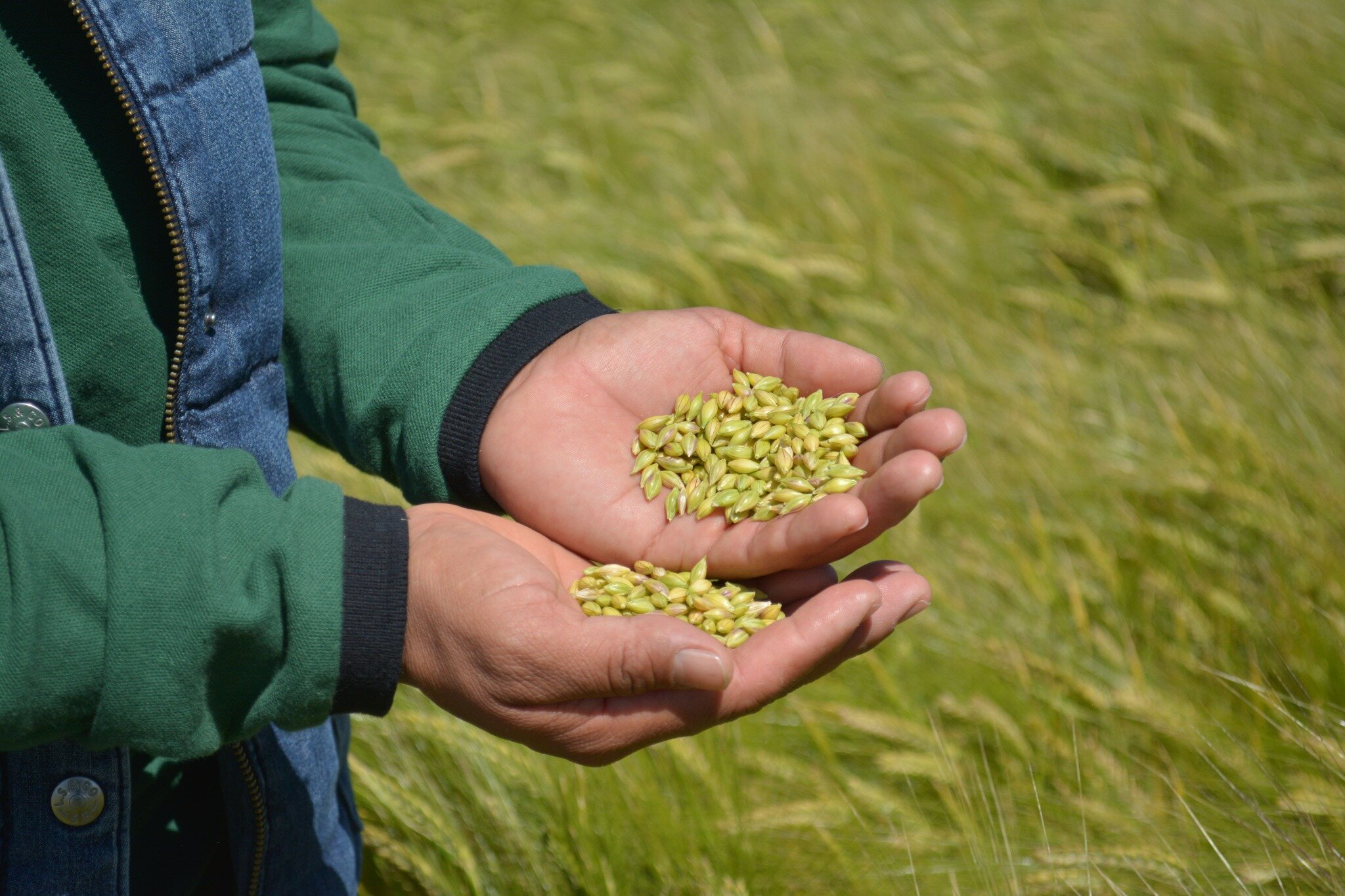 Comunicado_Dia_de_la_agricultura_imagen_3_optimizada.jpg