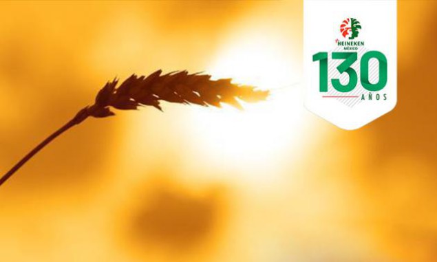¡Cebada! El corazón de HEINEKEN México